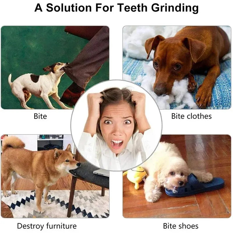 Rubber Treat-Dispensing Chew Ball for Dogs