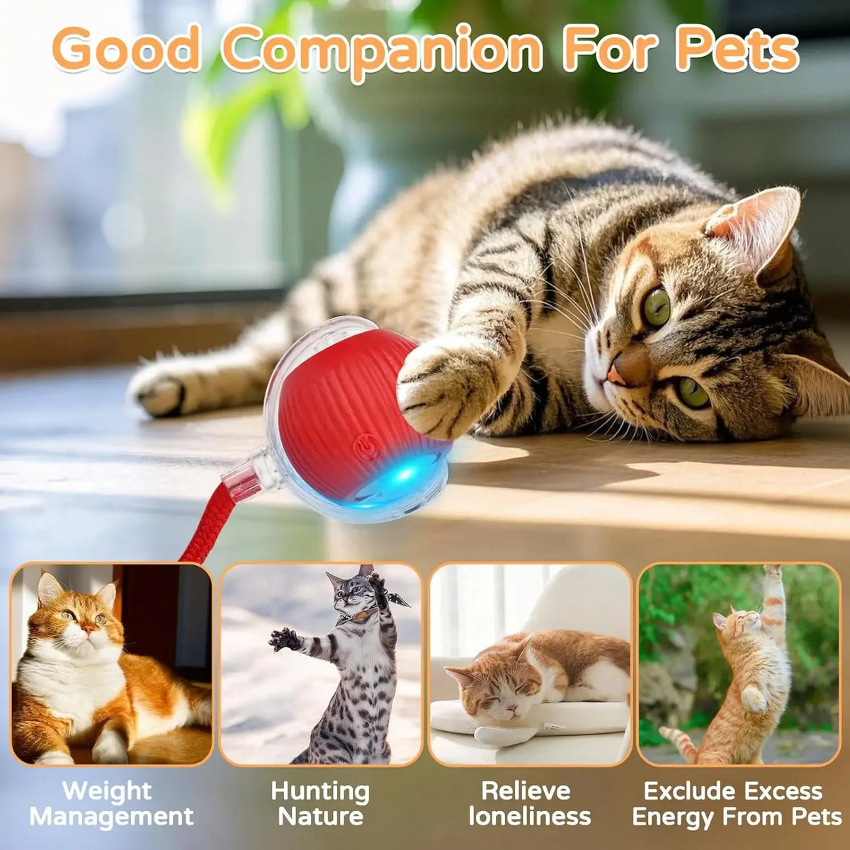 Rechargeable Interactive Auto-Rolling Cat Ball Toy